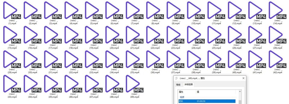 地狱调教大师【狗主人】私拍第二季